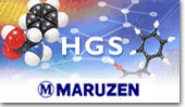 Maruzen HGS Molecular Model